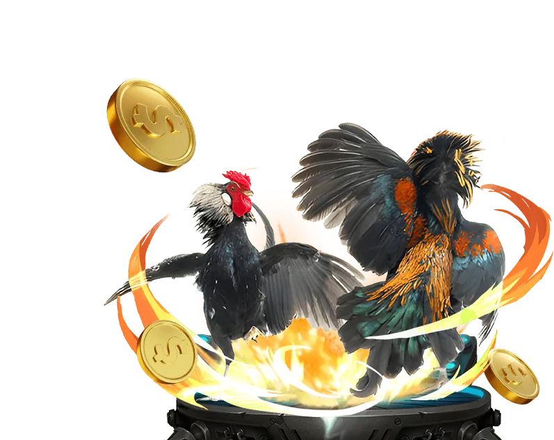 Khuyến mãi cá cược thể thao Kubet